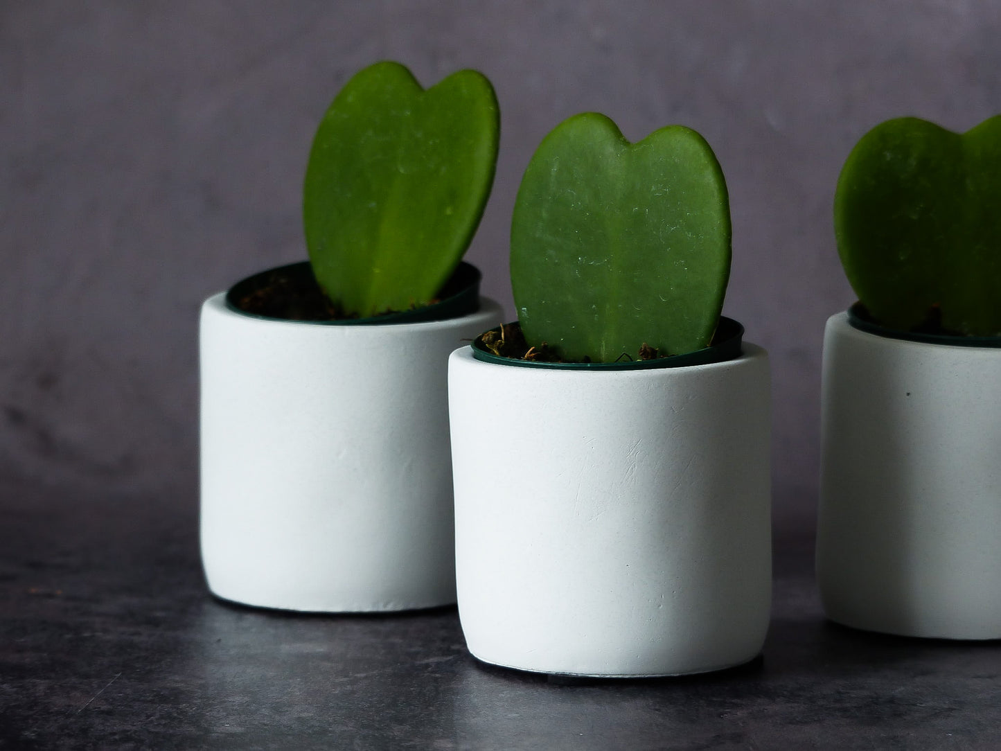 Cache-pot en ciment TOSCANE - P