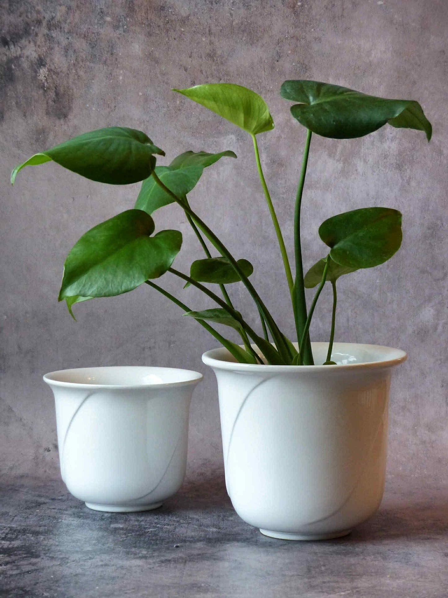 Ensemble de deux cache-pots vintage