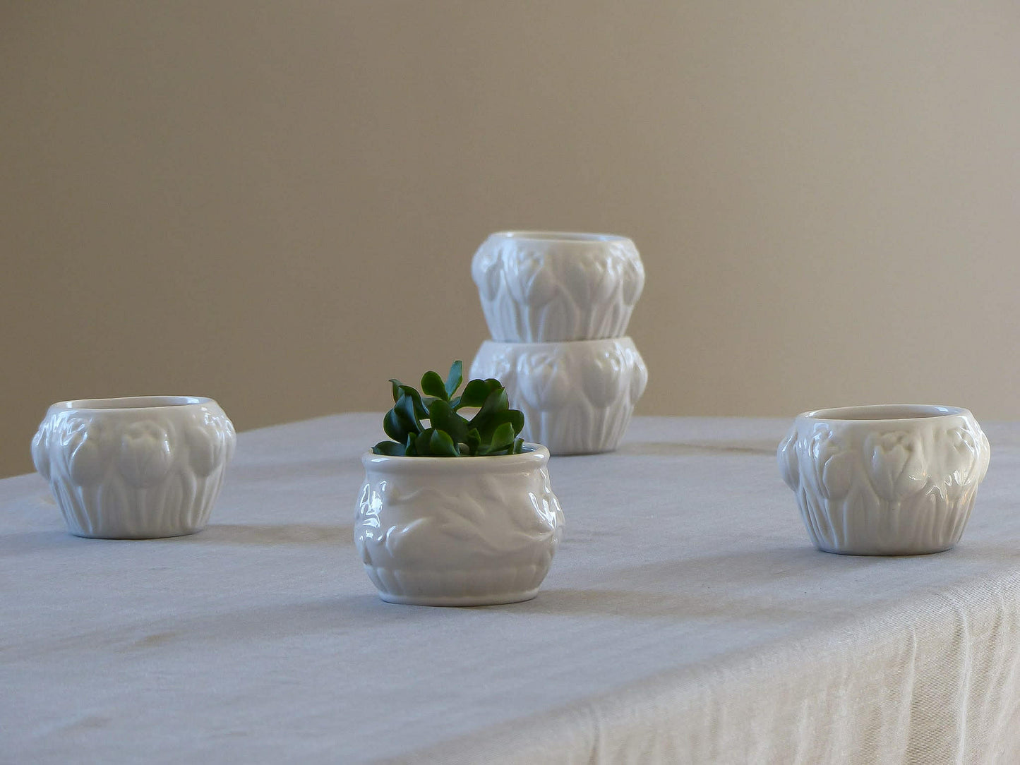 Petit cache-pot en céramique blanche avec motif botanique