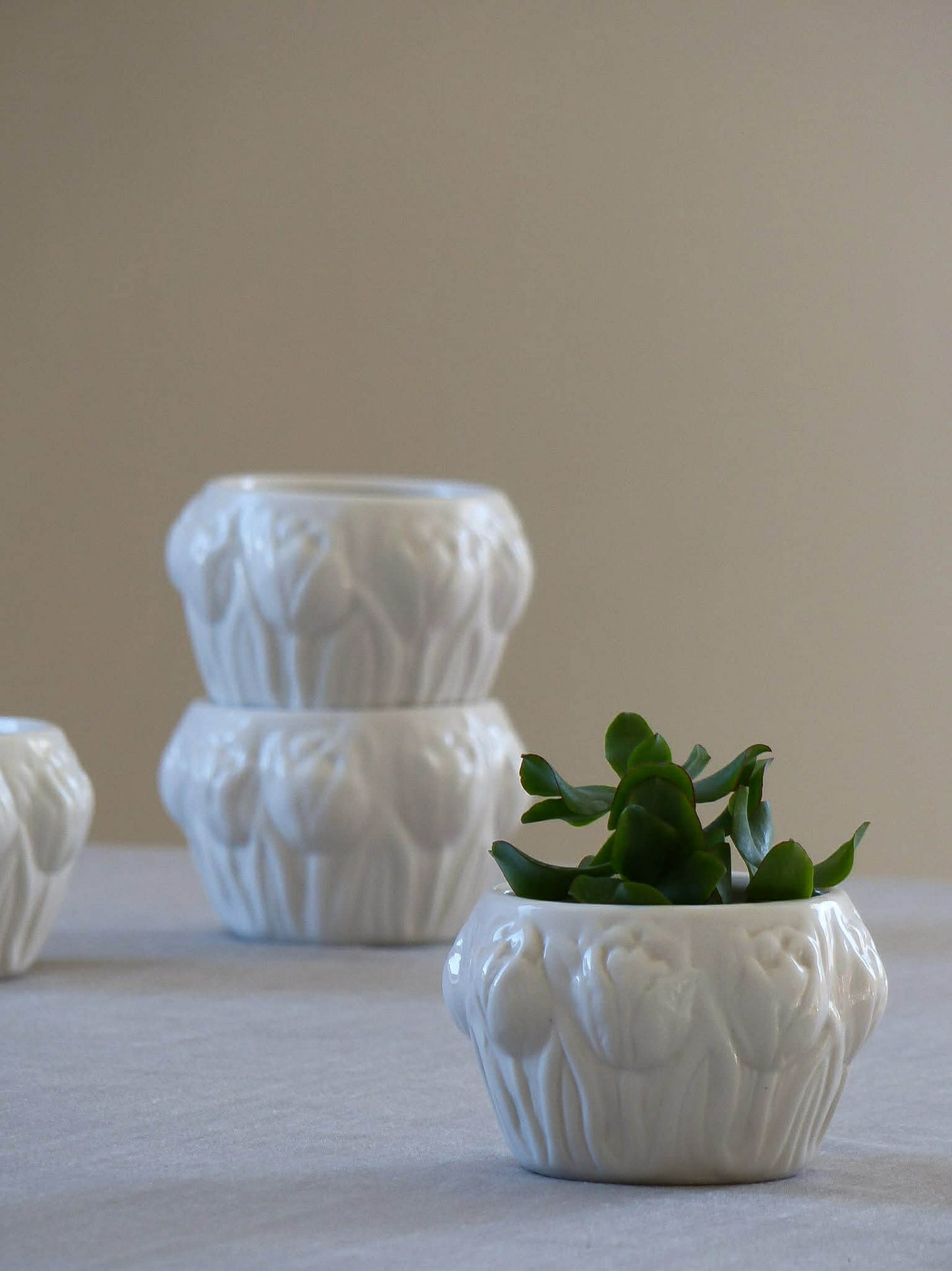 Petit cache-pot en céramique blanche avec motif de tulipes