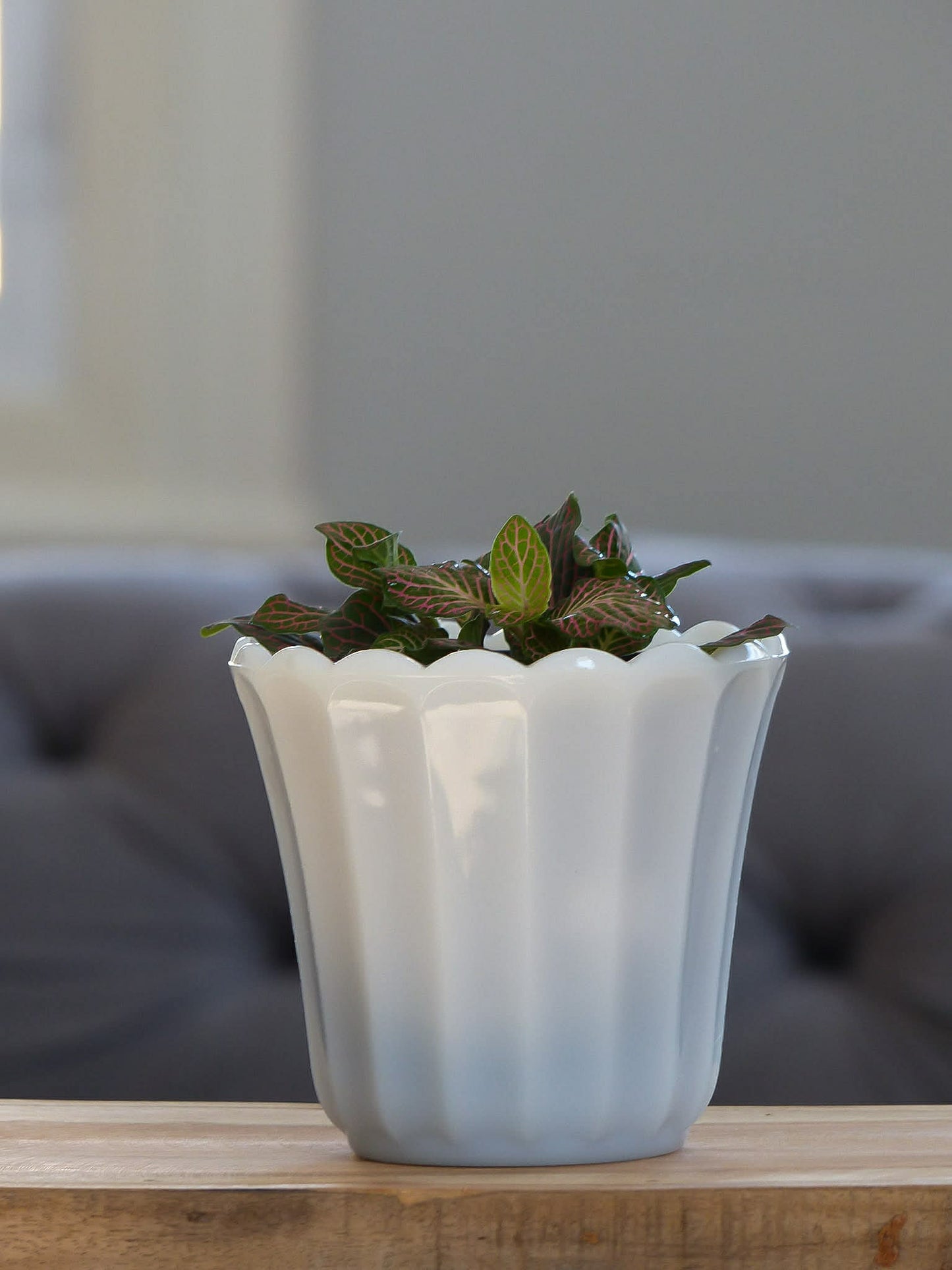 Petit cache pot en verre opalin