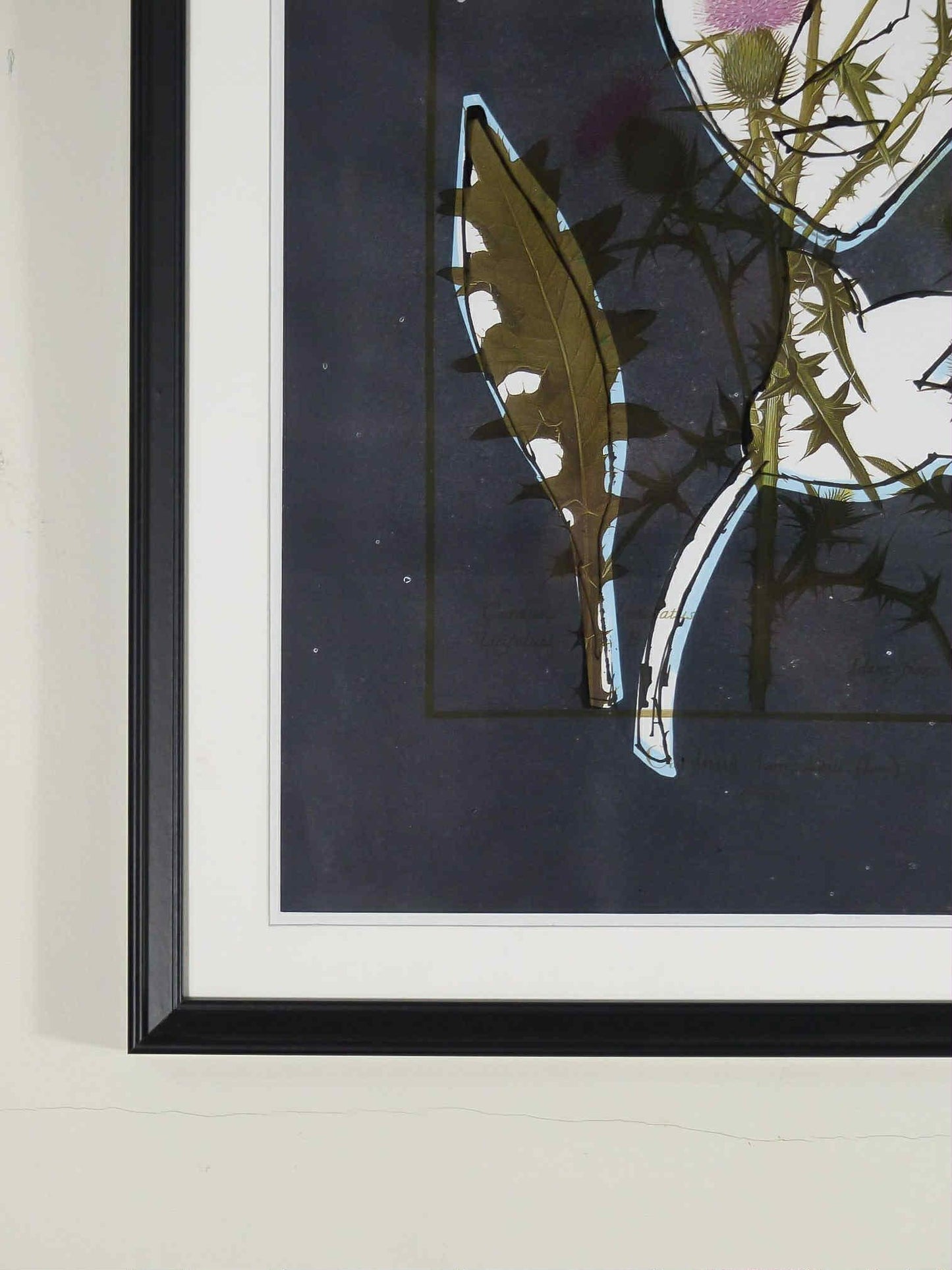 Tête et chardons - Michel Lancelot