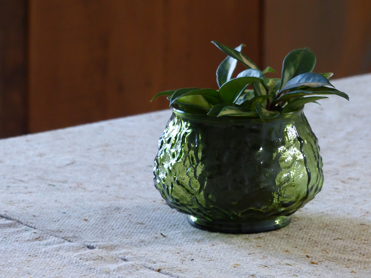 Petit cache-pot vintage en verre, vert olive