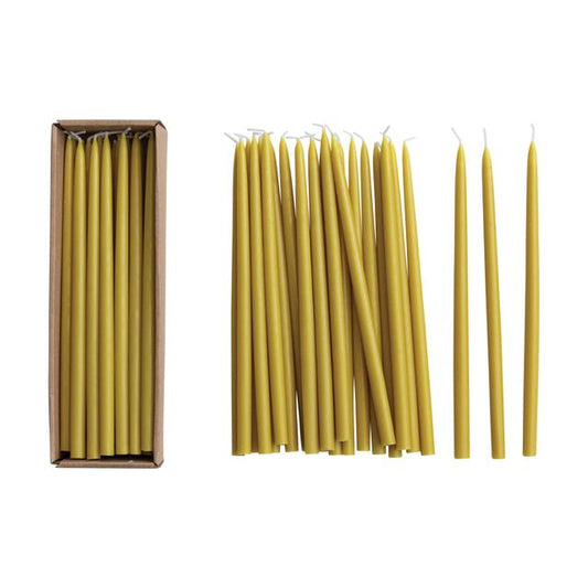 Lot de 36 bougies fines et longues (diamètre 1/4 de pouce) sans parfum, en boîte – Couleur chartreuse