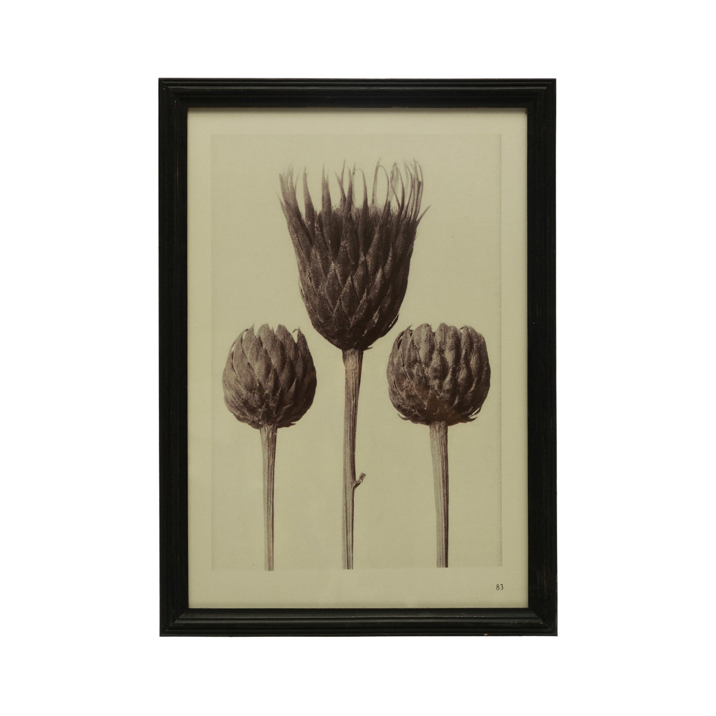 Cadre style vintage  - Artichauts