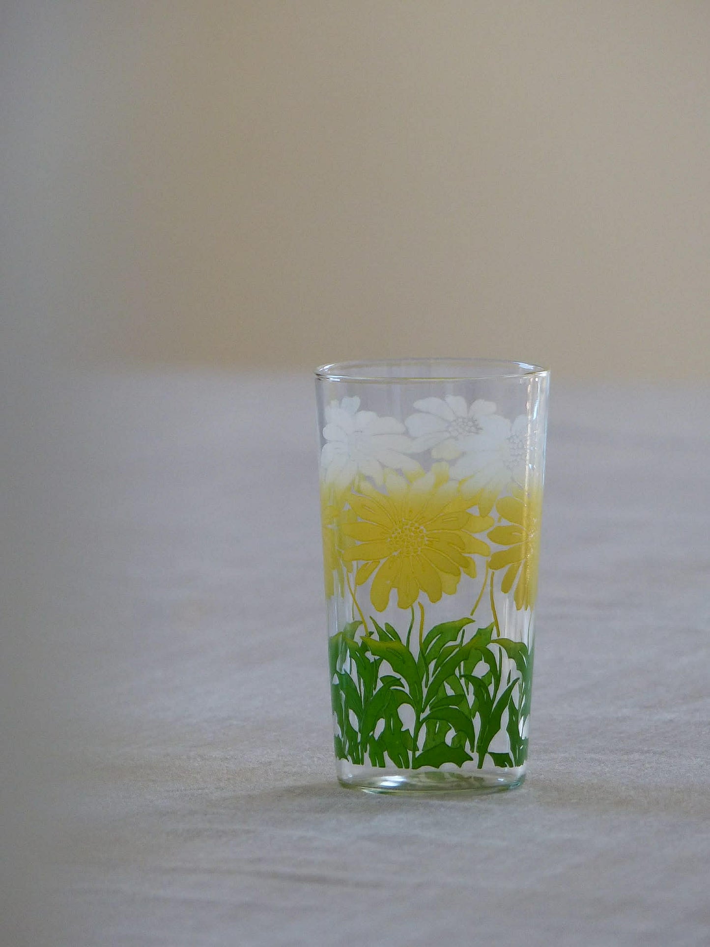 Ensemble de 6 verres rétro DAISY avec son support - ANCHOR HOCKING