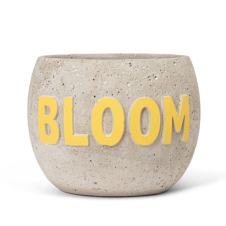 Cache-pot BLOOM