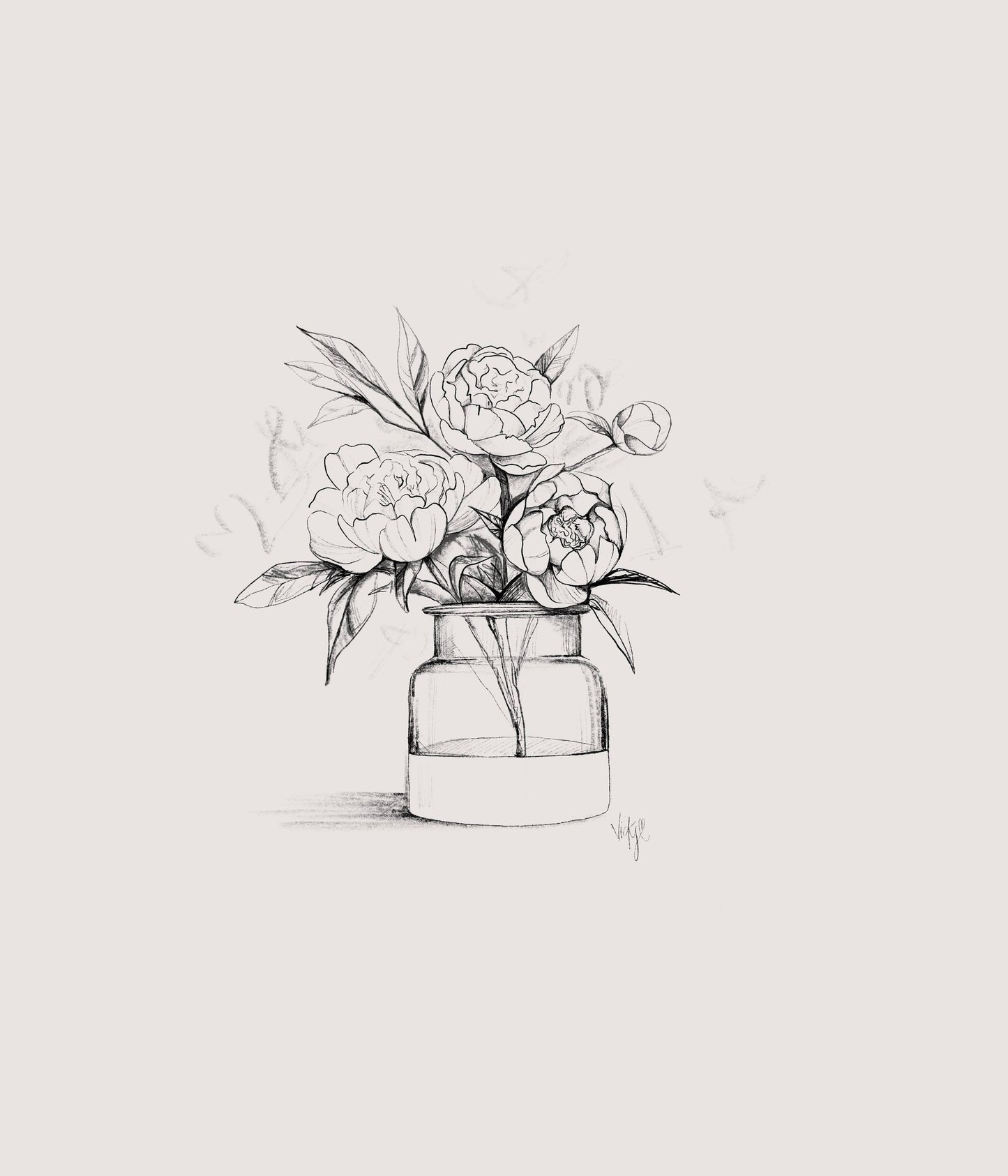 Illustration PIVOINES