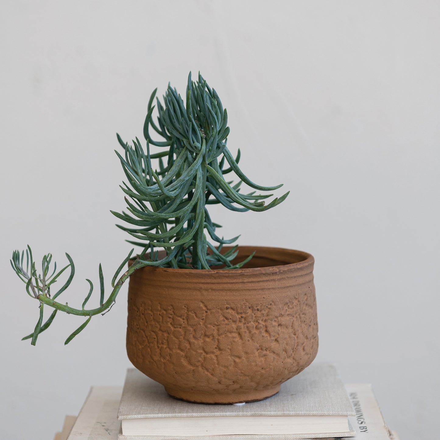 Cache-pot rond en grès gaufré, couleur terre cuite mate