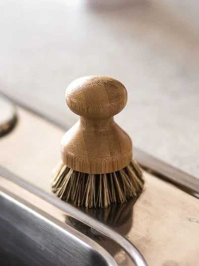 Brosse à récurer