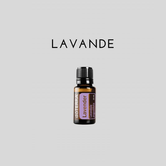 Huile de LAVANDE - 15 ml - Lavandula angustifolia