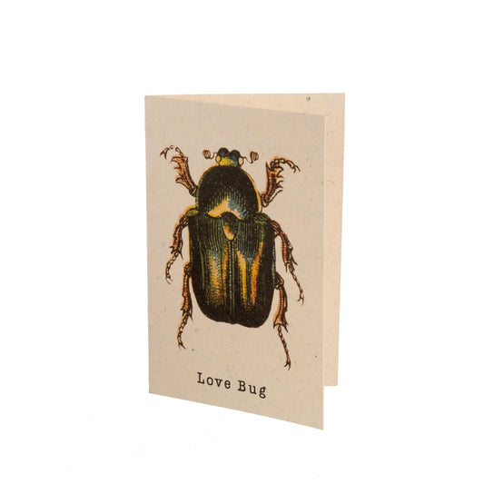 Carte - Love Bugs!