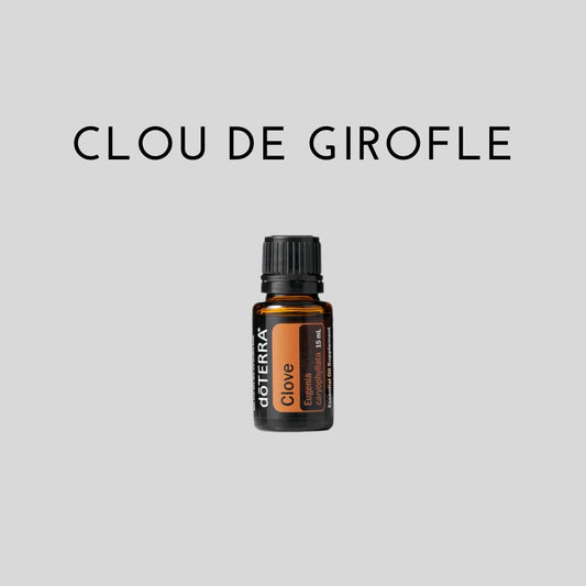 Huile de CLOU DE GIROFLE - 15 ml - Eugenia caryophyllata