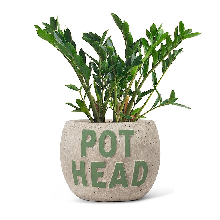 Cache-pot POT HEAD