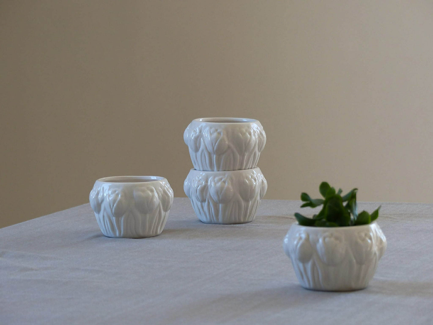 Petit cache-pot en céramique blanche avec motif de tulipes