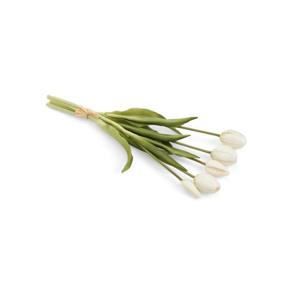 Bouquet - TULIPE BLANCHE